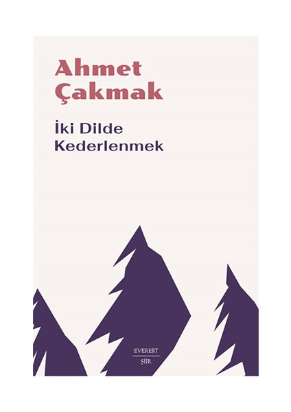 Iki Dilde Kederlenmek + Çütkafa’nın Kitabı + Okuma Sticker'ları fiyatları
