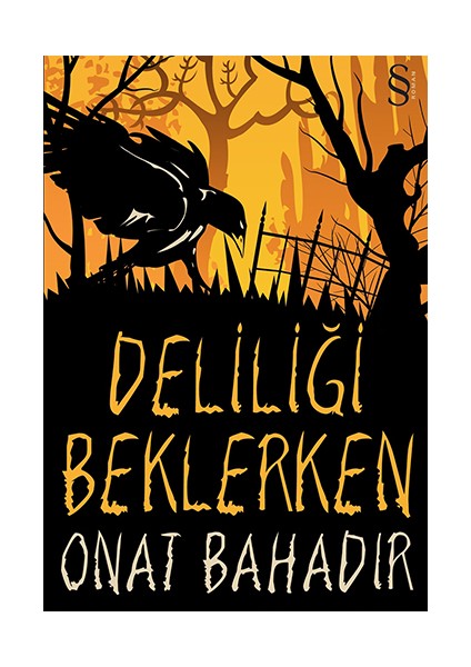 Deliliği Beklerken + Boşluğa Gülümsemek + Okuma Sticker'ları fiyatları