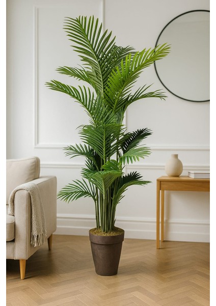 200 cm Yapay Areka Ağaç