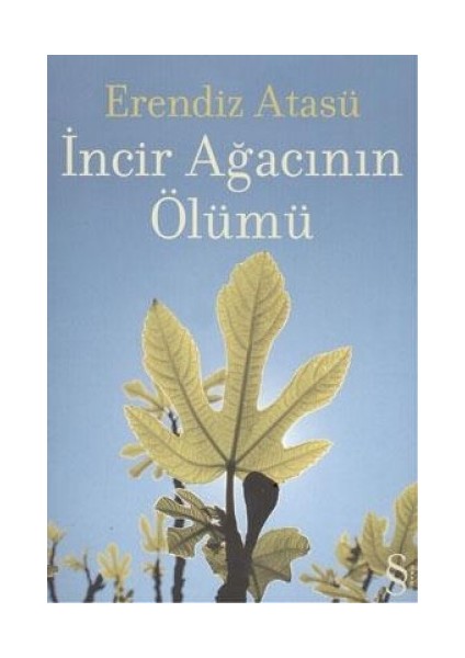 Taş Üstünde Gül Oyması + Incir Ağacının Ölümü + Dağın Öteki Yüzü + Okuma Sticker'ları