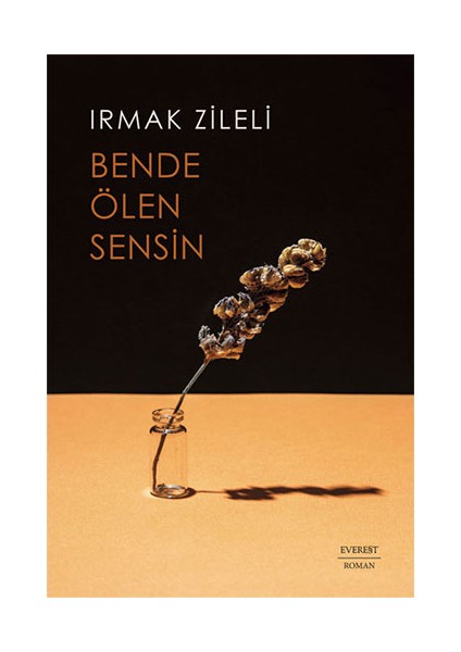 Irmak Zileli 5 Kitap Set + Okuma Sticker'ları