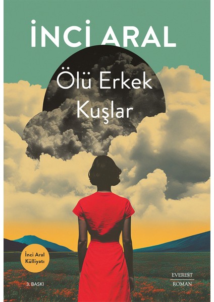 Şarkını Söylediğin Zaman + Gölgede Kırk Derece + Ölü Erkek Kuşlar + Okuma Sticker'ları