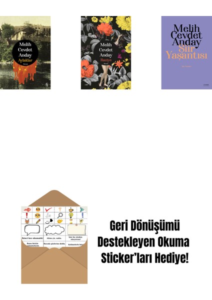 Aylaklar (Ciltli) + Raziye (Ciltli) + Şiir Yaşantısı - Şiir Yazıları + Okuma Sticker'ları