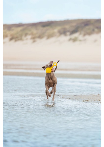 Köpek Oyuncağı, Yüzen, Şamandıra, Tpr, Sarı, 28X13X8CM Sptgl fiyatları