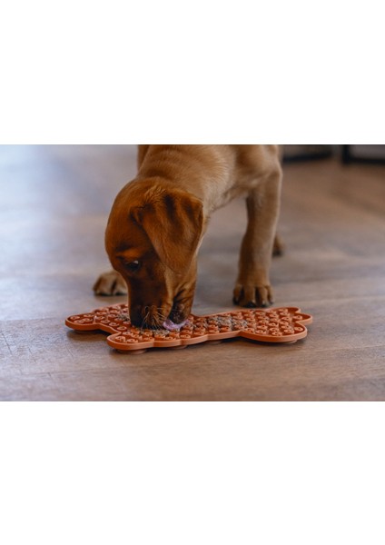 Yavru Köpek Mama Yeme Oyuncağı, Lama Şeklinde, Silikon, Kahverengi, 25X22CM Sptgl modelleri