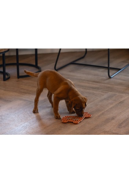 Yavru Köpek Mama Yeme Oyuncağı, Lama Şeklinde, Silikon, Kahverengi, 25X22CM Sptgl fırsatları