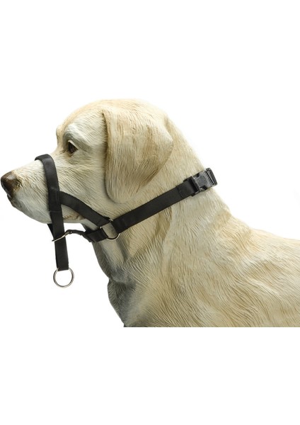 Köpek Eğitim Tasması, Baş Kontrollu, Siyah, M Sptgl