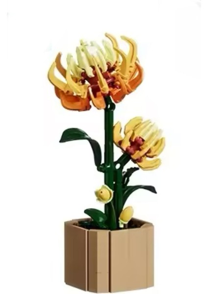 Yetiskinler Için Koleksiyonluk Dekoratif Yapim Yapı Taşları Seti 18 cm