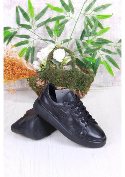 Pc Siyah Erkek Sneaker 1362002 fırsatları