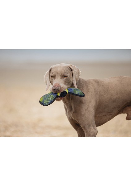 Köpek Oyuncağı, Yüzen, Tenis Topu, Mavi/sarı, 30X9,5X6,3CM Sptgl modelleri