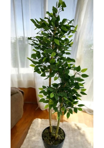 Yapay Bambu Ağaç Benjamin 150 cm Yakamoz Saksı Dahildir