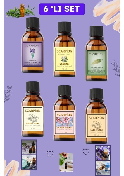 Renkli Set Uçucu Yağ & Esansiyel Yağ 6'lı Oda Kokusu Buhardanlık ve Difüzör Koku Seti 6X10ML