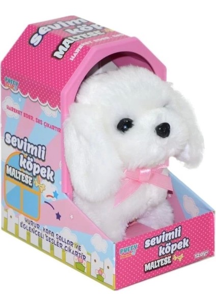 Bfs Nessiworld 47100 Sevimli Köpek Maltese -Sunman