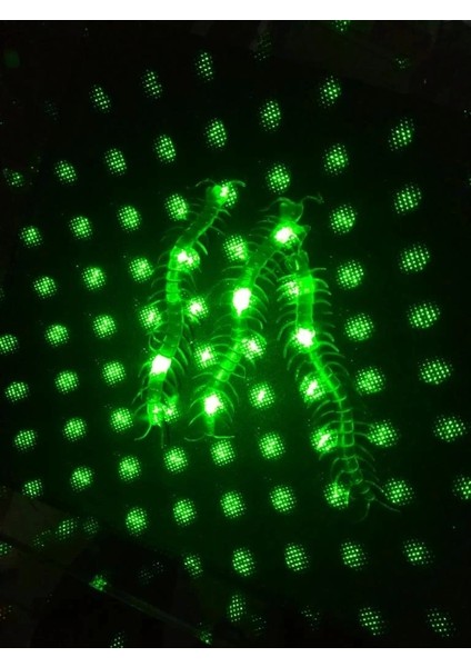 Bfs Nessiworld Şaka Yılan ve Kırkayak Karışık 36 Adet modelleri