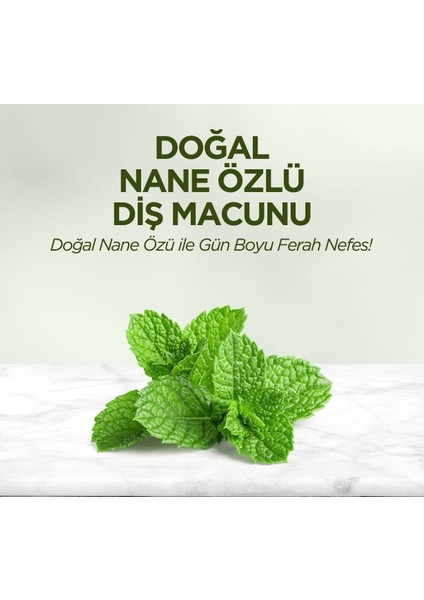 Eyüp Sabri Tuncer Doğal Diş Macunu 90 gr Nane Özlü fırsatları