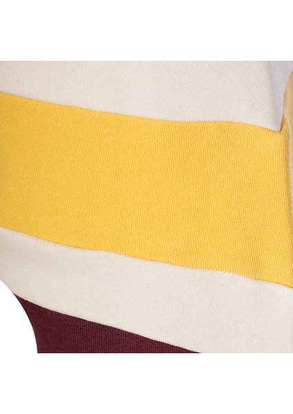 Seal Sweatshırt fırsatları