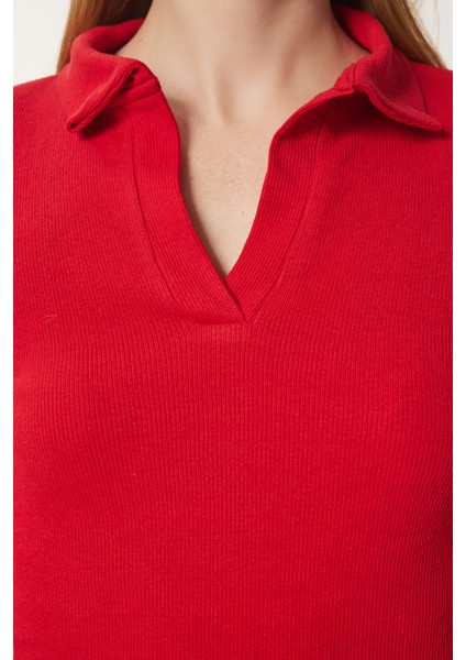 Polo Yaka Fitilli 2'li Paket Örme Bluz