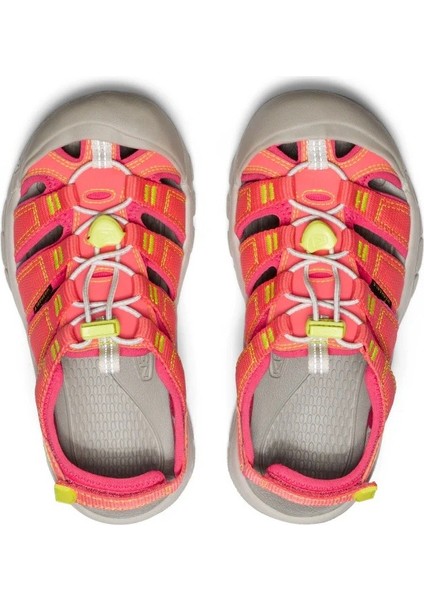 1030190 Newport Boundless Dubarry/evening Primrose Kadın Sandalet