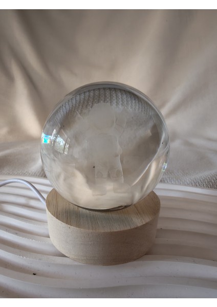 Acr-Hediyelik Dekoratif Mini Gece Lambası Işıklı Cam Küre, Işıklı Kristal Top Çeşitleri 6 cm Çapında Sarı Gün Işığı Sıcak Işık Verir. Çocuklar ve Yetişkinler Için Uygundur. Desen Çeşitleri Vardır. fiyatları