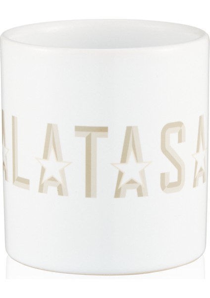 Galatasaray 5 Yıldız Detaylı Mug U251473 fiyatları