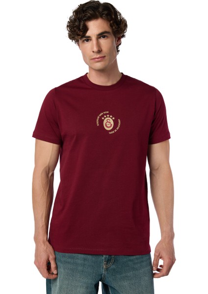 Galatasaray Gerçekleri Tarih Yazar T-Shirt E251392 fiyatları