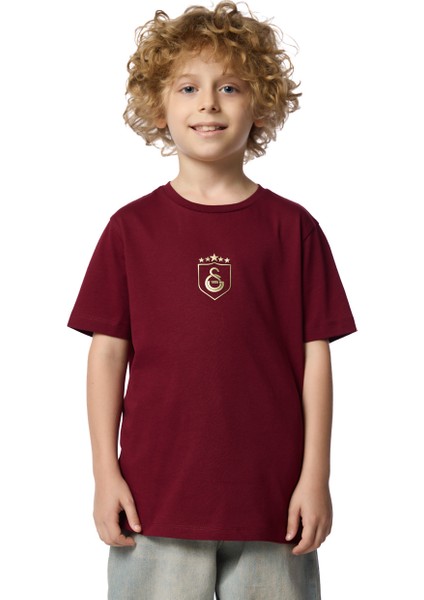 Galatasaray 5 Yıldız Çocuk T-Shirt C251393