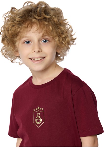 Galatasaray 5 Yıldız Çocuk T-Shirt C251393 fiyatları