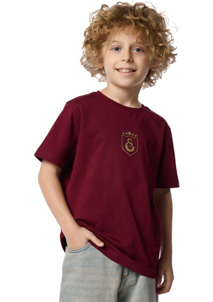Galatasaray 5 Yıldız Çocuk T-Shirt C251393 fırsatları