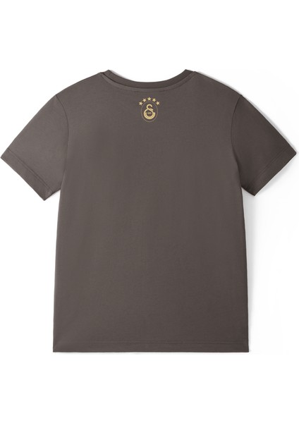 Galatasaray 5 Yıldız Detaylı Çocuk T-Shirt C251399 fırsatları