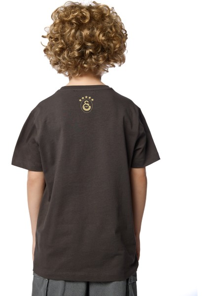 Galatasaray 5 Yıldız Detaylı Çocuk T-Shirt C251399 indirimleri