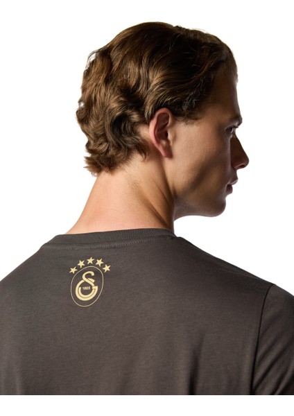 Galatasaray 5 Yıldız Detaylı T-Shirt E251399 fiyatları