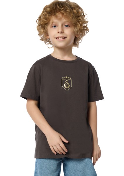 Galatasaray 5 Yıldız Çocuk T-Shirt C251393 fiyatları