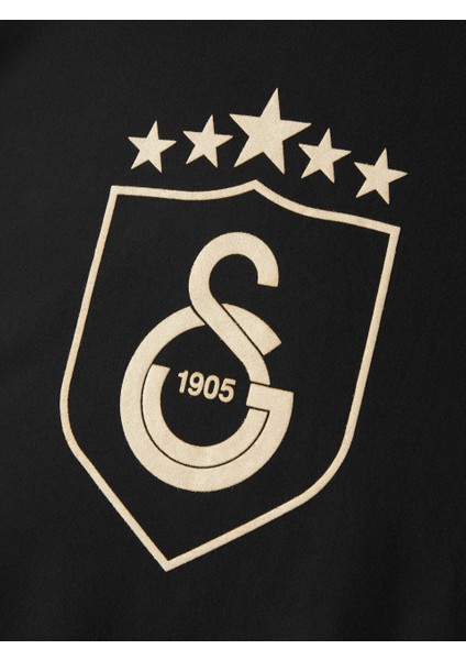 Galatasaray Kalkan 5 Yıldız Çocuk T-Shirt C251395
