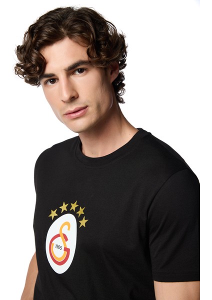 Galatasaray 5 Yıldız T-Shirt E251402 indirimleri