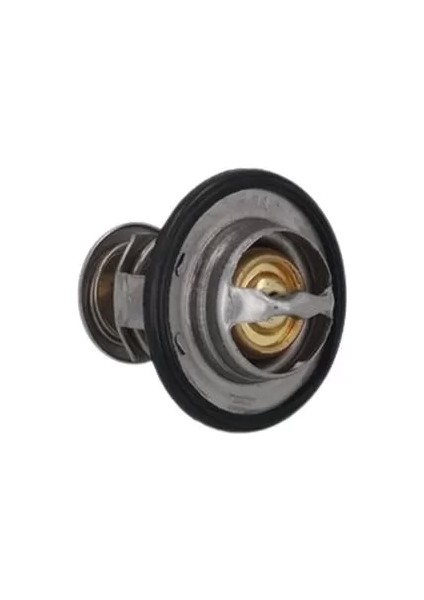 Termostat 89°c 1338.C8 Saxo