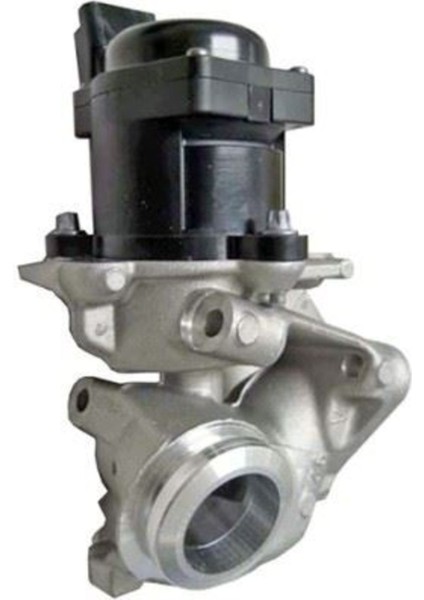 6NU010171091 Egv Valfi Ford Ford 7518586-7518086-724809390-83613UE-83613-7518586-1338675-34925
