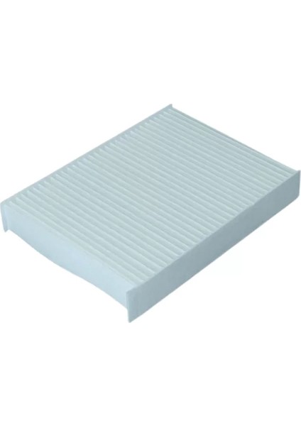 Polen Filtresi (Klima) B000975480 C1