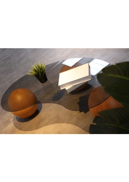 Modern Orta Sehpa & Top Sehpa Cam Sehpa & Küre Orta Sehpa - Meşe Top - Fasulye - Füme Cam modelleri