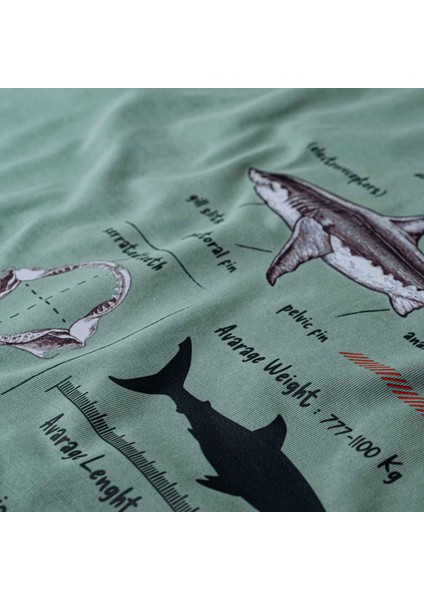 Anatomy Great White Shark Tasarım T-Shirt Köpekbalık Anatomisi Tasarım T-Shirt Köpekbalıklı Baskılı T-Shirt