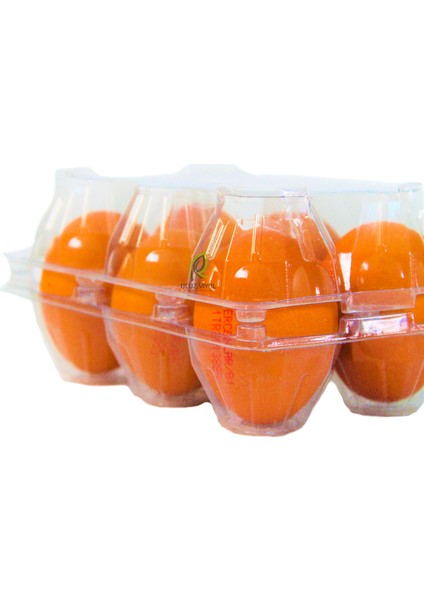 6 Lı Plastik Kapaklı Yumurta Viyolü 300 Adet indirimleri