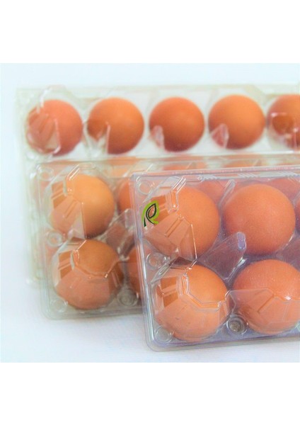 6 Lı Plastik Kapaklı Yumurta Viyolü 50 Adet