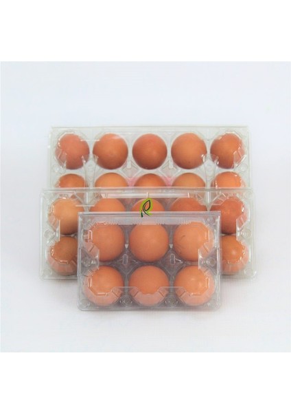 6 Lı Plastik Kapaklı Yumurta Viyolü 300 Adet