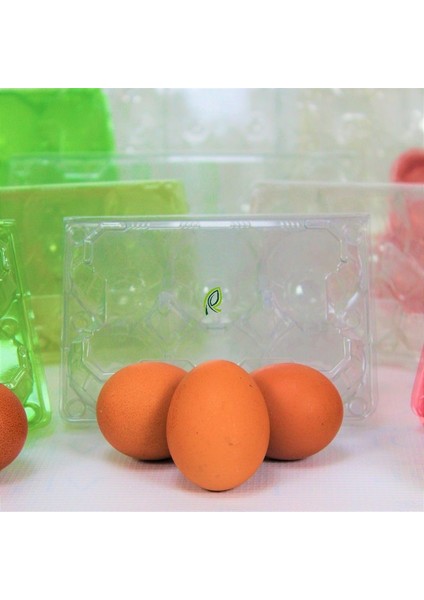 6 Lı Plastik Kapaklı Yumurta Viyolü 50 Adet
