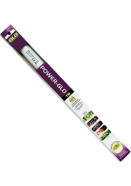 Power Glo 65 W-150 cm