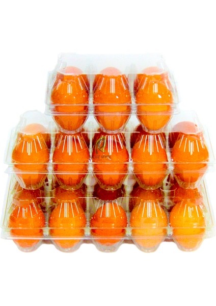 6 Lı Plastik Kapaklı Yumurta Viyolü 50 Adet