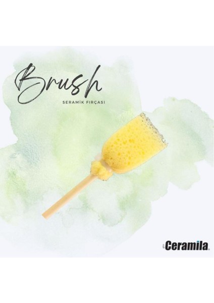 Brush 3055 Sünger Fırça