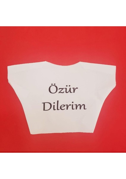 Özür Dilerim Yazılı Peluş Oyuncak Ayı Tişörtü