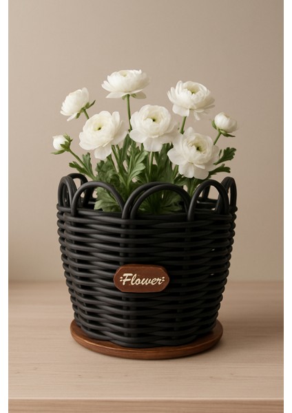 20 cm Premium Siyah Renk Saksılık