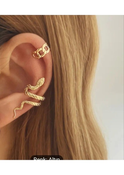 Yılan Pirinç Altın Orbital Piercing