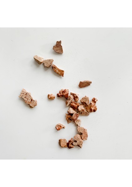 Freeze-Dried Çiğ Tavuk Ciğer Köpek Ödülü 40g modelleri